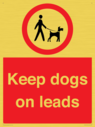 dogs-on-lead-symbol-with-black-text-on-white-background~